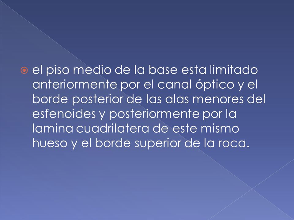 el piso medio de la base esta limitado anteriormente por el canal óptico y el borde posterior de las alas menores del esfenoides y posteriormente por la lamina cuadrilatera de este mismo hueso y el borde superior de la roca.