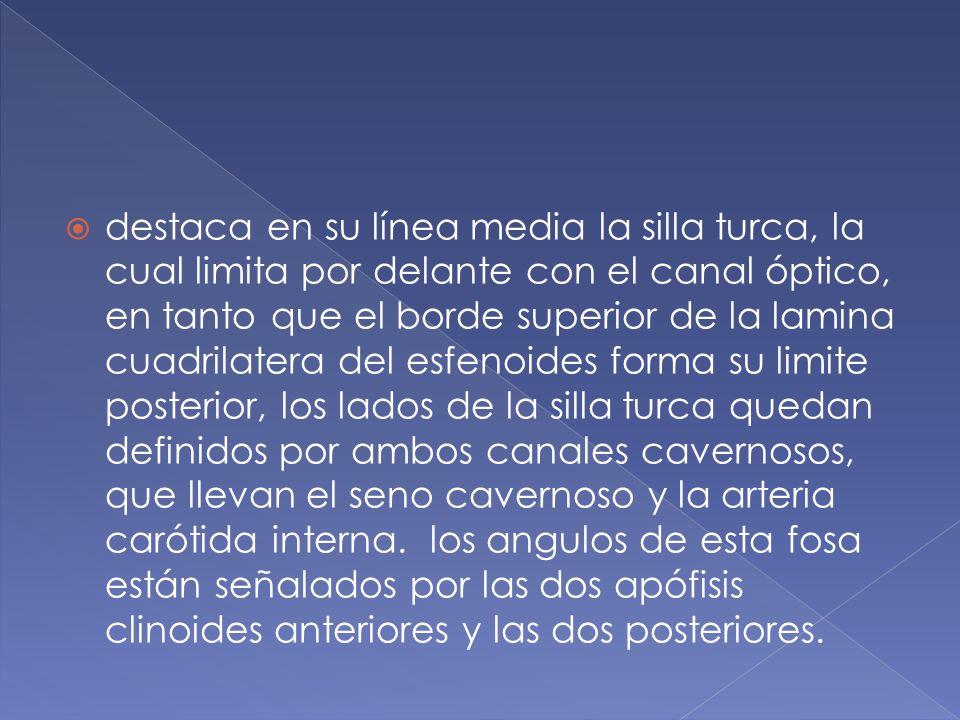 destaca en su línea media la silla turca, la cual limita por delante con el canal óptico, en tanto que el borde superior de la lamina cuadrilatera del esfenoides forma su limite posterior, los lados de la silla turca quedan definidos por ambos canales cavernosos, que llevan el seno cavernoso y la arteria carótida interna.