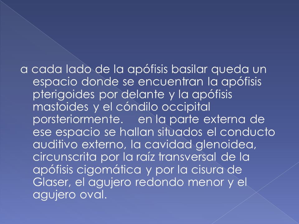 a cada lado de la apófisis basilar queda un espacio donde se encuentran la apófisis pterigoides por delante y la apófisis mastoides y el cóndilo occipital porsteriormente.