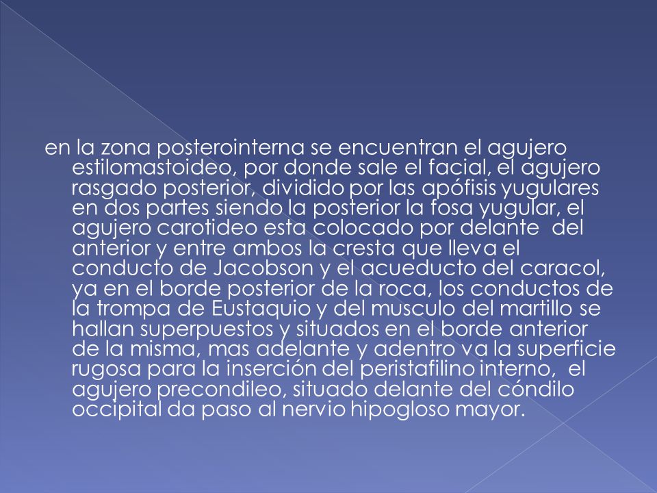 en la zona posterointerna se encuentran el agujero estilomastoideo, por donde sale el facial, el agujero rasgado posterior, dividido por las apófisis yugulares en dos partes siendo la posterior la fosa yugular, el agujero carotideo esta colocado por delante del anterior y entre ambos la cresta que lleva el conducto de Jacobson y el acueducto del caracol, ya en el borde posterior de la roca, los conductos de la trompa de Eustaquio y del musculo del martillo se hallan superpuestos y situados en el borde anterior de la misma, mas adelante y adentro va la superficie rugosa para la inserción del peristafilino interno, el agujero precondileo, situado delante del cóndilo occipital da paso al nervio hipogloso mayor.