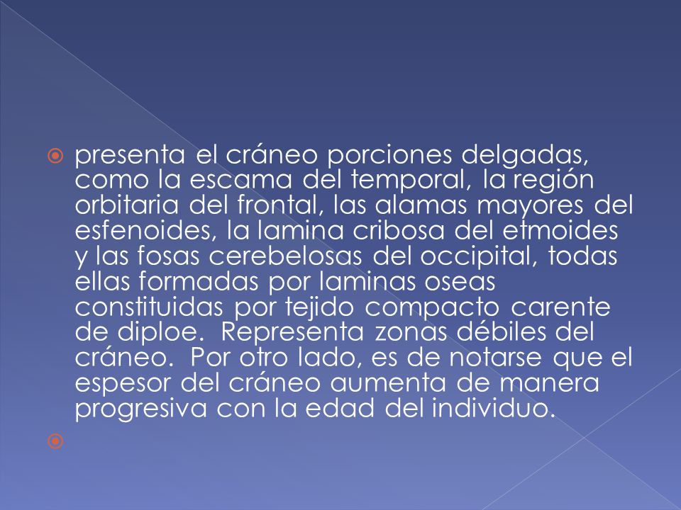 presenta el cráneo porciones delgadas, como la escama del temporal, la región orbitaria del frontal, las alamas mayores del esfenoides, la lamina cribosa del etmoides y las fosas cerebelosas del occipital, todas ellas formadas por laminas oseas constituidas por tejido compacto carente de diploe. Representa zonas débiles del cráneo. Por otro lado, es de notarse que el espesor del cráneo aumenta de manera progresiva con la edad del individuo.