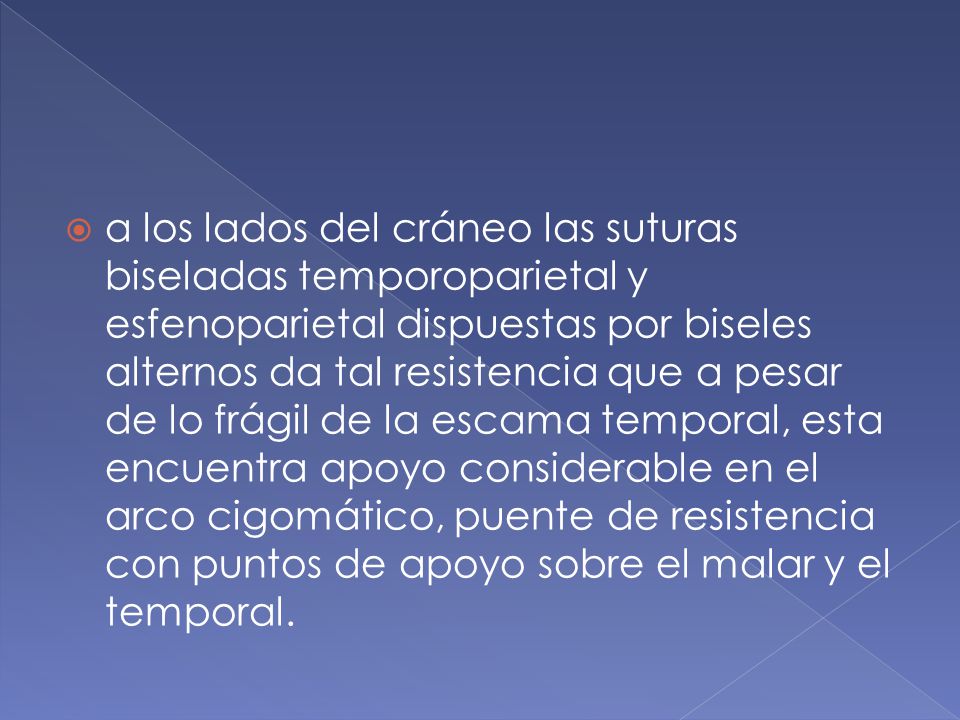 a los lados del cráneo las suturas biseladas temporoparietal y esfenoparietal dispuestas por biseles alternos da tal resistencia que a pesar de lo frágil de la escama temporal, esta encuentra apoyo considerable en el arco cigomático, puente de resistencia con puntos de apoyo sobre el malar y el temporal.