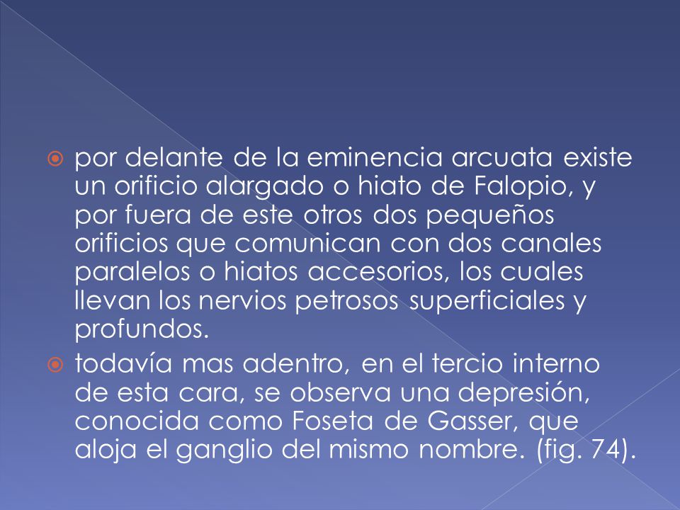 por delante de la eminencia arcuata existe un orificio alargado o hiato de Falopio, y por fuera de este otros dos pequeños orificios que comunican con dos canales paralelos o hiatos accesorios, los cuales llevan los nervios petrosos superficiales y profundos.