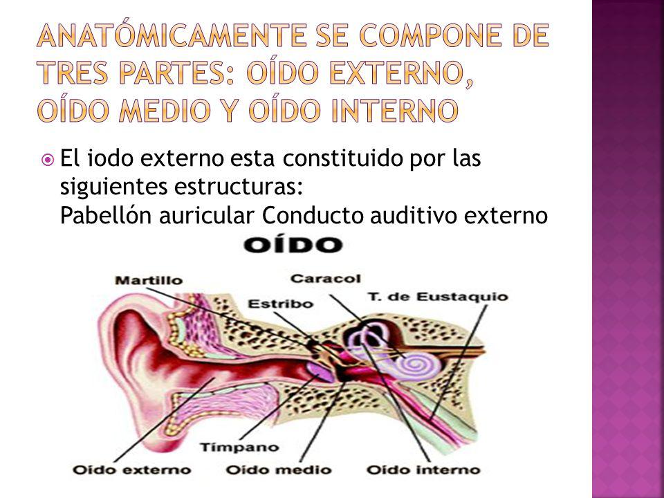 Anatómicamente se compone de tres partes: oído externo, oído medio y oído interno