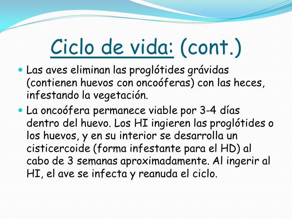 Ciclo de vida: (cont.) Las aves eliminan las proglótides grávidas (contienen huevos con oncoóferas) con las heces, infestando la vegetación.
