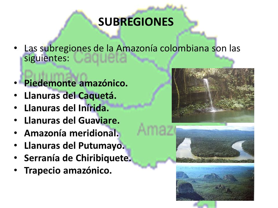 SUBREGIONES Las subregiones de la Amazonía colombiana son las siguientes: Piedemonte amazónico. Llanuras del Caquetá.