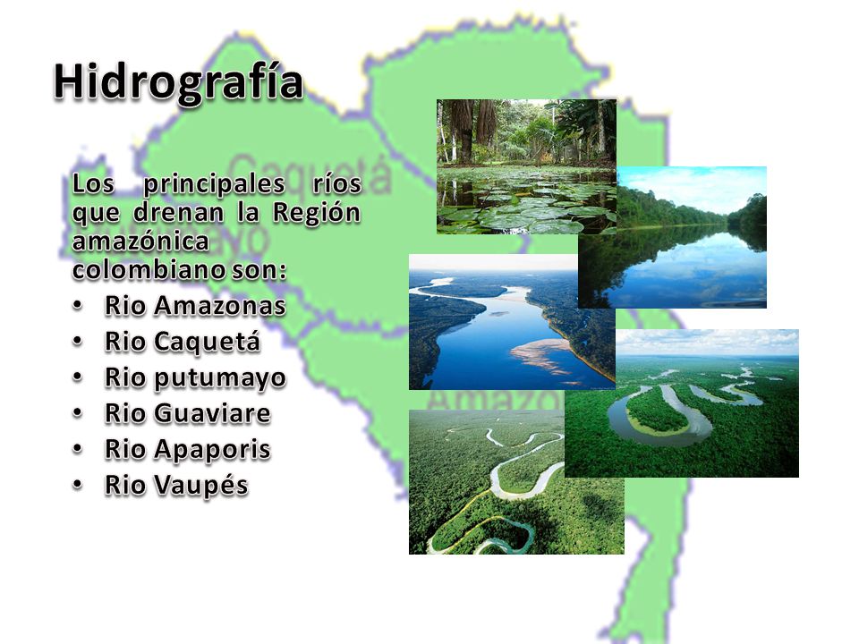 Hidrografía Los principales ríos que drenan la Región amazónica colombiano son: Rio Amazonas. Rio Caquetá.