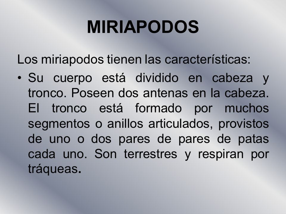 MIRIAPODOS Los miriapodos tienen las características: