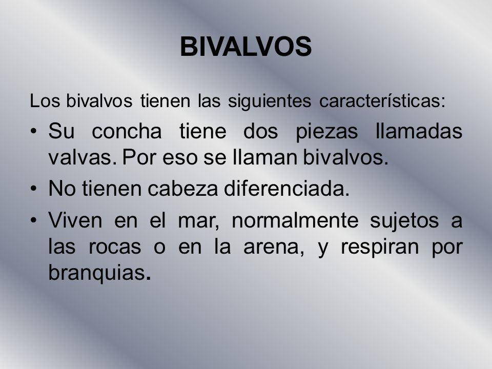 BIVALVOS Los bivalvos tienen las siguientes características: Su concha tiene dos piezas llamadas valvas. Por eso se llaman bivalvos.