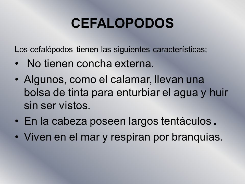 CEFALOPODOS No tienen concha externa.