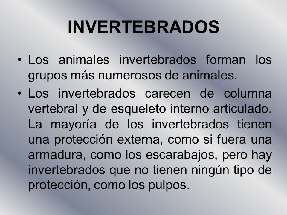 INVERTEBRADOS Los animales invertebrados forman los grupos más numerosos de animales.
