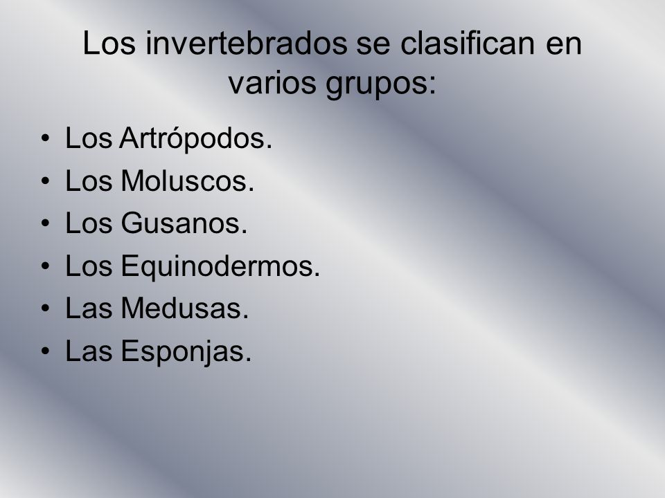 Los invertebrados se clasifican en varios grupos: