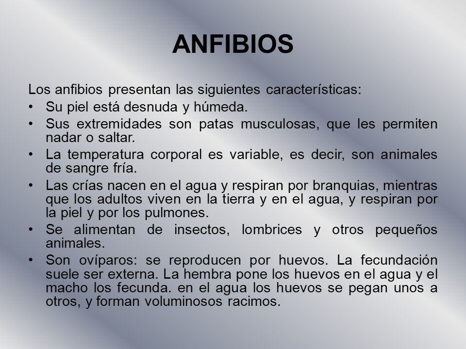 ANFIBIOS Los anfibios presentan las siguientes características: