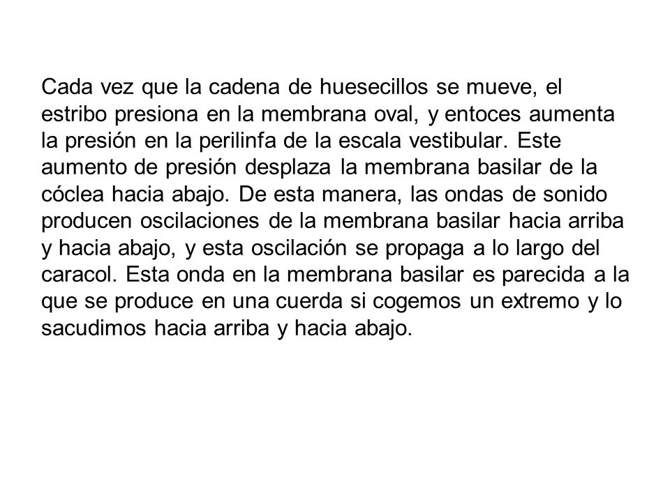 Cada vez que la cadena de huesecillos se mueve, el estribo presiona en la membrana oval, y entoces aumenta la presión en la perilinfa de la escala vestibular.
