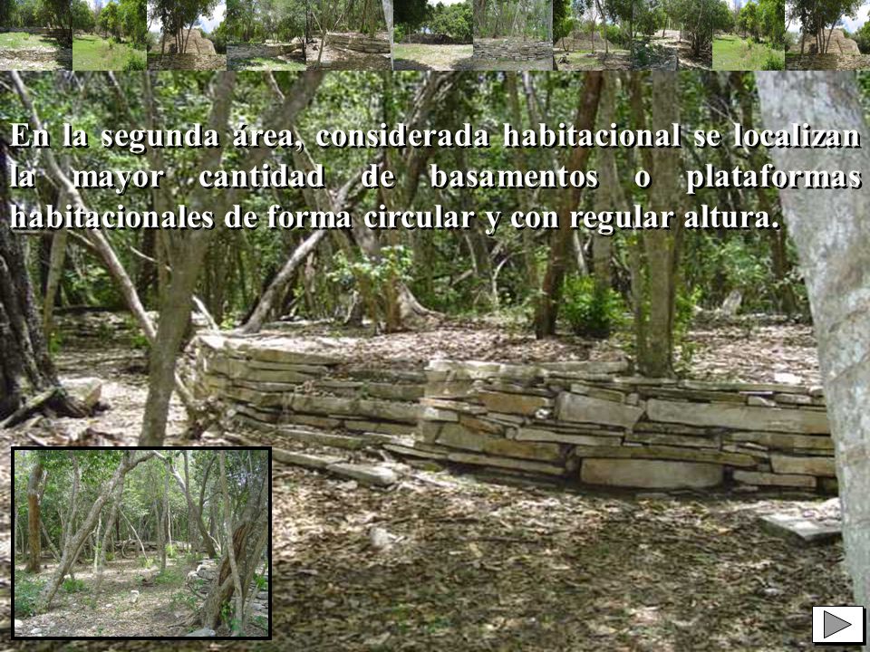 En la segunda área, considerada habitacional se localizan la mayor cantidad de basamentos o plataformas habitacionales de forma circular y con regular altura.