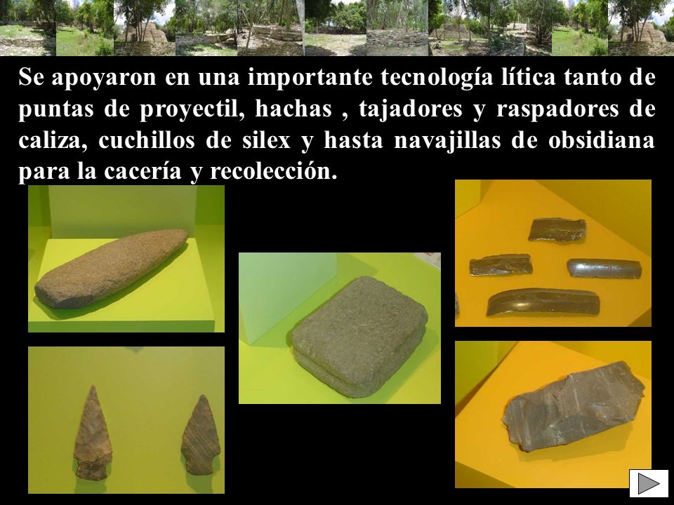 Se apoyaron en una importante tecnología lítica tanto de puntas de proyectil, hachas , tajadores y raspadores de caliza, cuchillos de silex y hasta navajillas de obsidiana para la cacería y recolección.