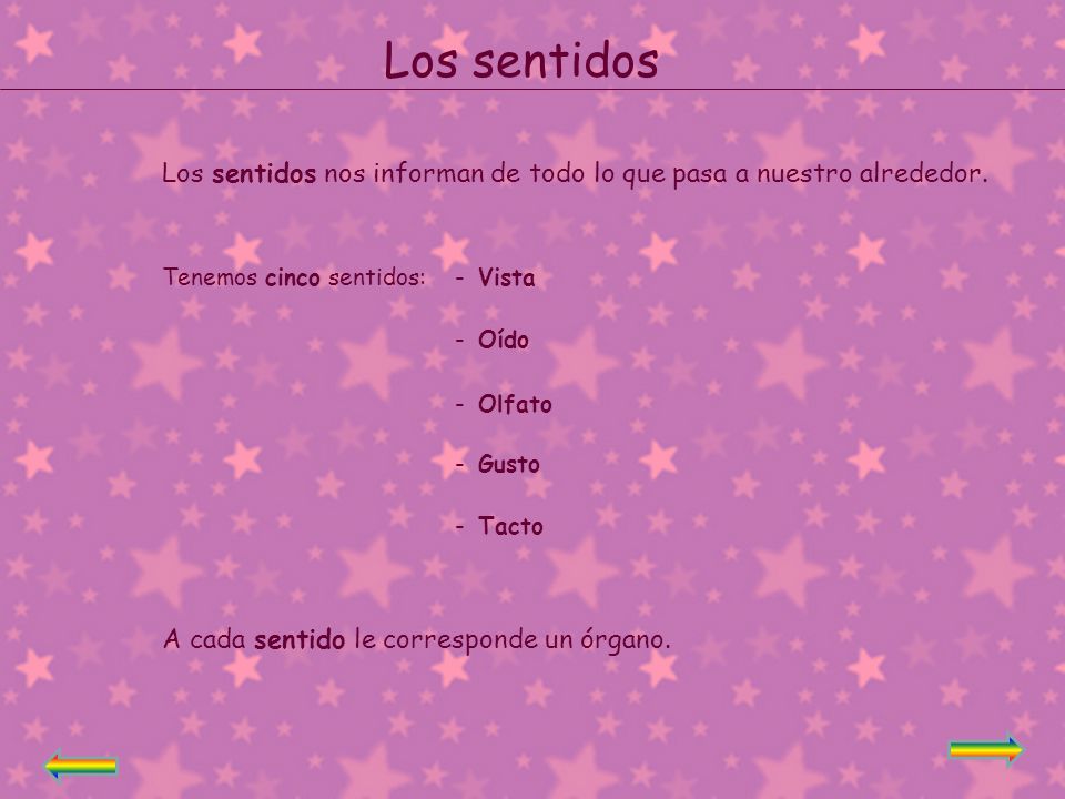 Los sentidos Los sentidos nos informan de todo lo que pasa a nuestro alrededor. Tenemos cinco sentidos: