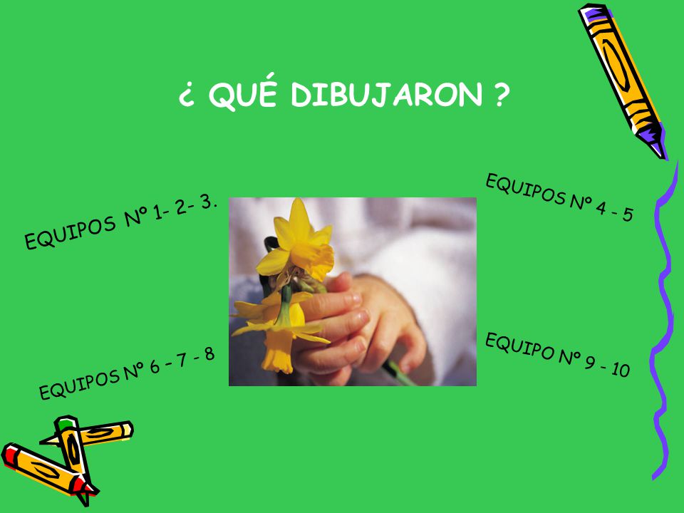 ¿ QUÉ DIBUJARON EQUIPOS Nº EQUIPOS Nº 4 - 5