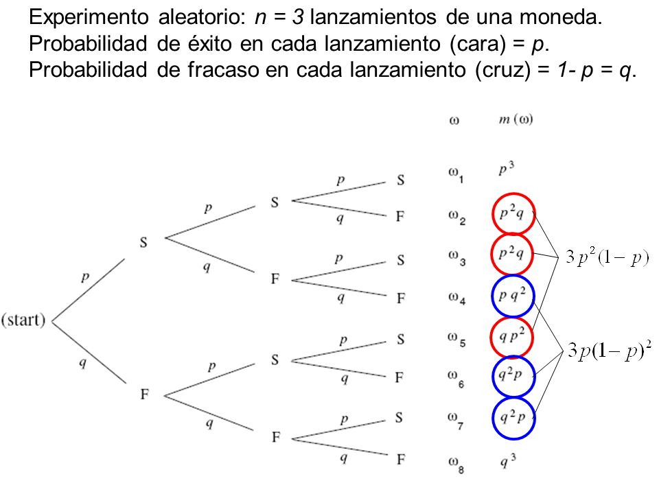 Experimento aleatorio: n = 3 lanzamientos de una moneda.