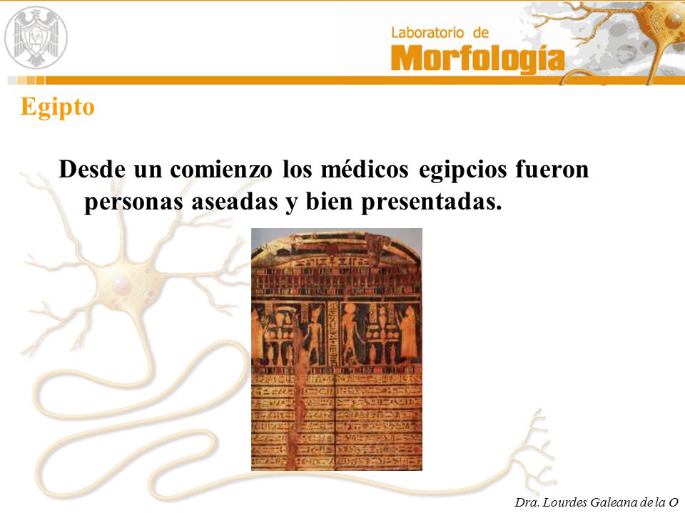 Egipto Desde un comienzo los médicos egipcios fueron personas aseadas y bien presentadas.
