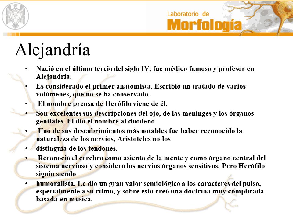 Alejandría Nació en el último tercio del siglo IV, fue médico famoso y profesor en Alejandría.