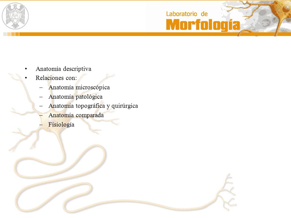 Anatomía descriptiva Relaciones con: Anatomía microscópica. Anatomía patológica. Anatomía topográfica y quirúrgica.
