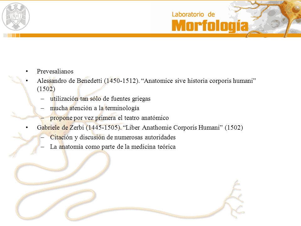 Prevesalianos Alessandro de Benedetti ( ). Anatomice sive historia corporis humani (1502)