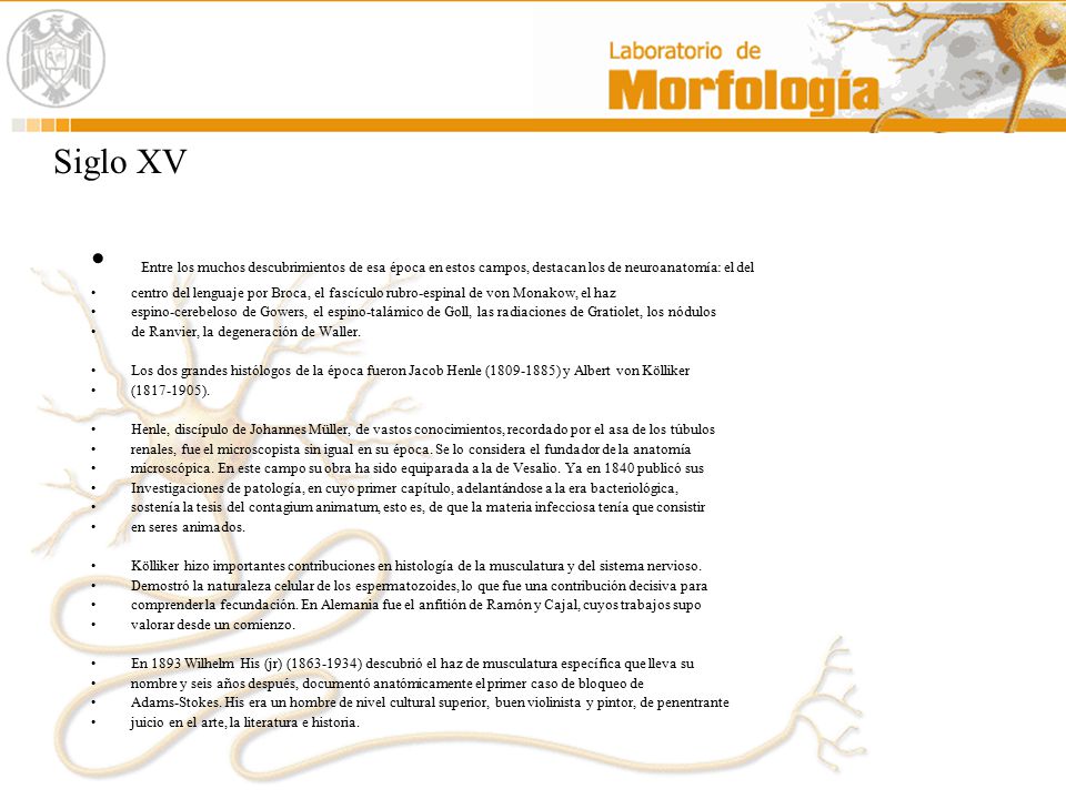 Siglo XV Entre los muchos descubrimientos de esa época en estos campos, destacan los de neuroanatomía: el del.