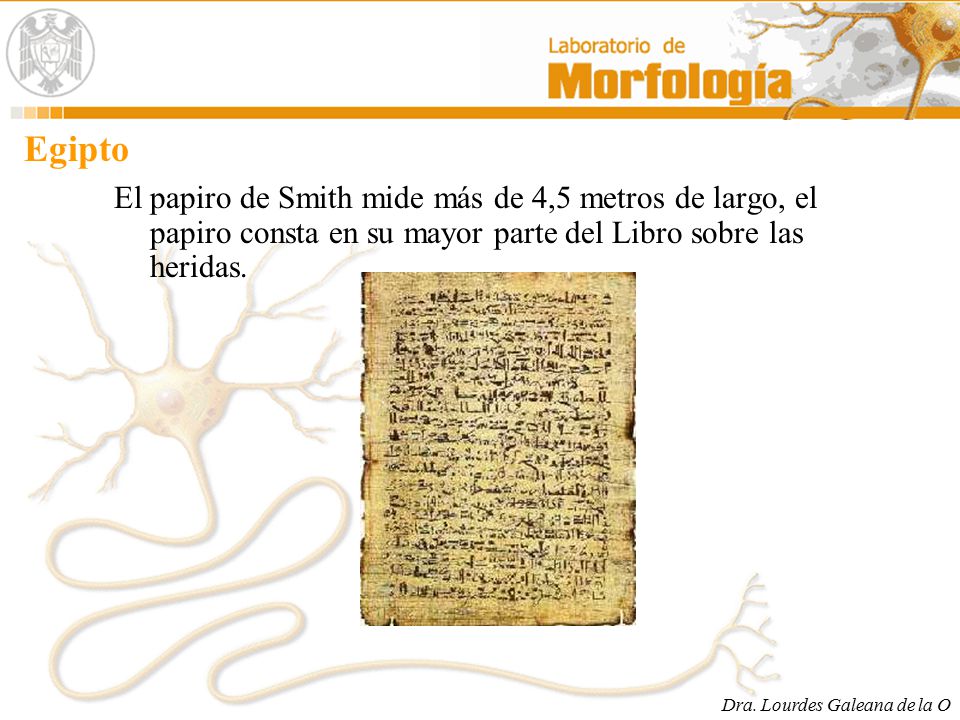 Egipto El papiro de Smith mide más de 4,5 metros de largo, el papiro consta en su mayor parte del Libro sobre las heridas.