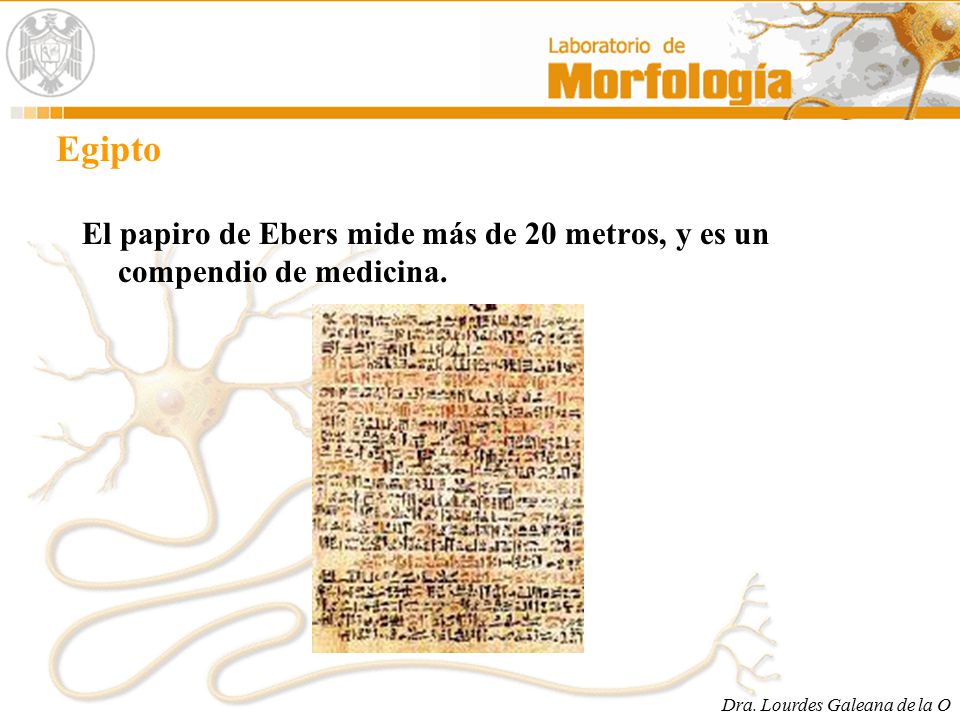 Egipto El papiro de Ebers mide más de 20 metros, y es un compendio de medicina.