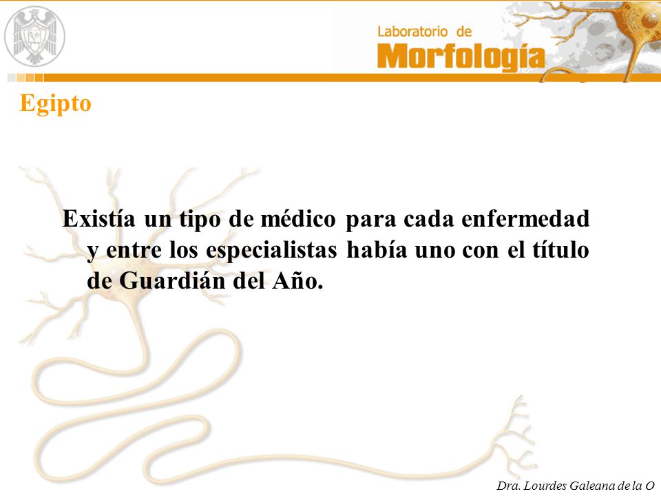 Egipto Existía un tipo de médico para cada enfermedad y entre los especialistas había uno con el título de Guardián del Año.