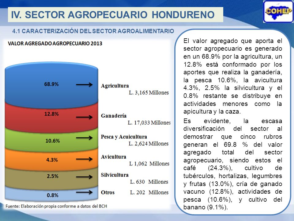 4.1 CARACTERIZACIÓN DEL SECTOR AGROALIMENTARIO