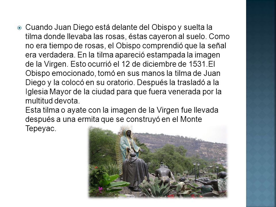 Cuando Juan Diego está delante del Obispo y suelta la tilma donde llevaba las rosas, éstas cayeron al suelo.