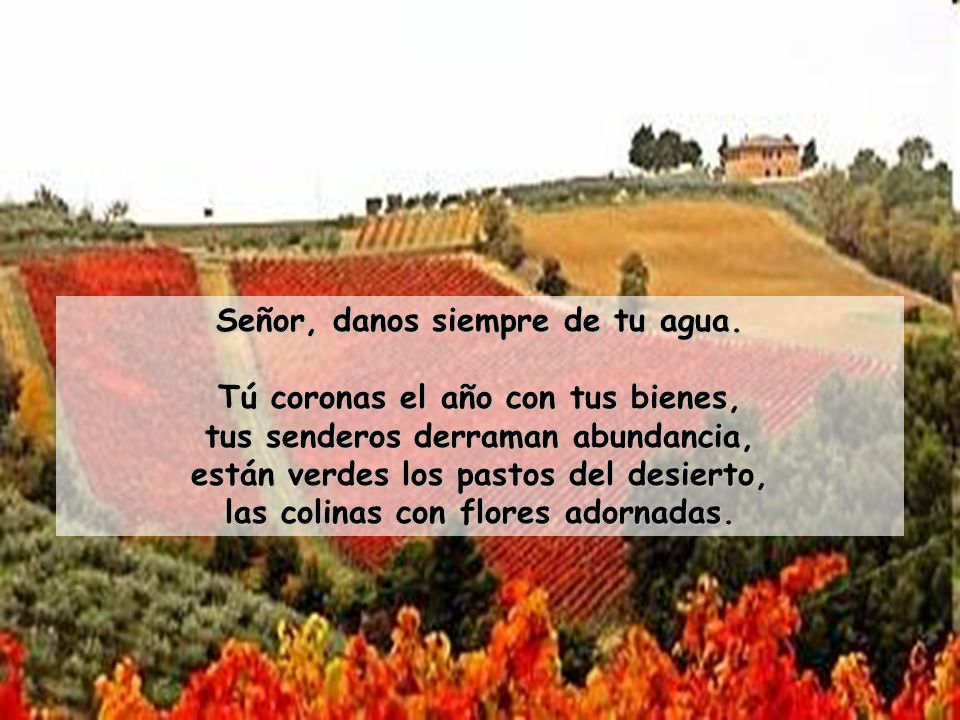 Señor, danos siempre de tu agua. Tú coronas el año con tus bienes,