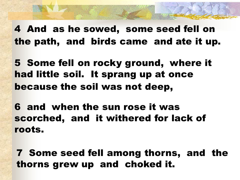 4 And as he sowed, some seed fell on the path, and birds came and ate it up.