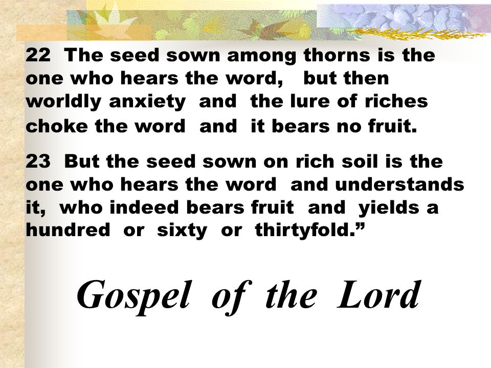 22 The seed sown among thorns is the one who hears the word, but then worldly anxiety and the lure of riches choke the word and it bears no fruit.