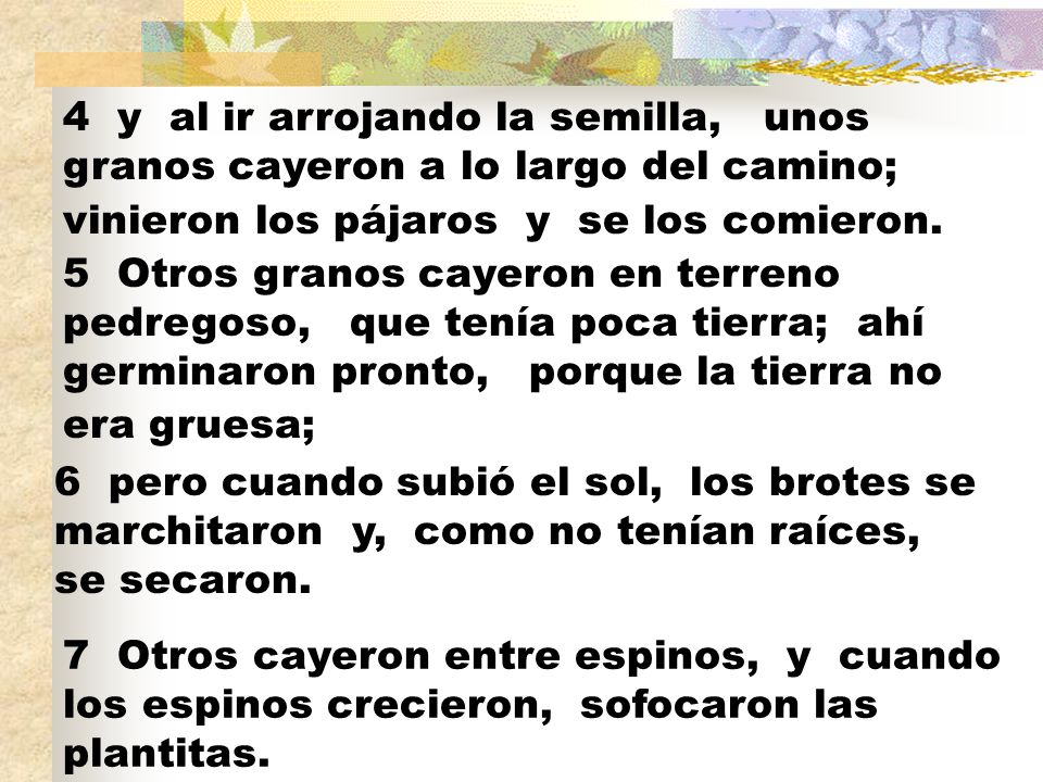 4 y al ir arrojando la semilla, unos granos cayeron a lo largo del camino; vinieron los pájaros y se los comieron.