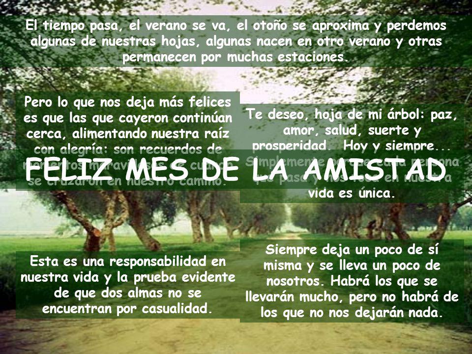 El tiempo pasa, el verano se va, el otoño se aproxima y perdemos algunas de nuestras hojas, algunas nacen en otro verano y otras permanecen por muchas estaciones.