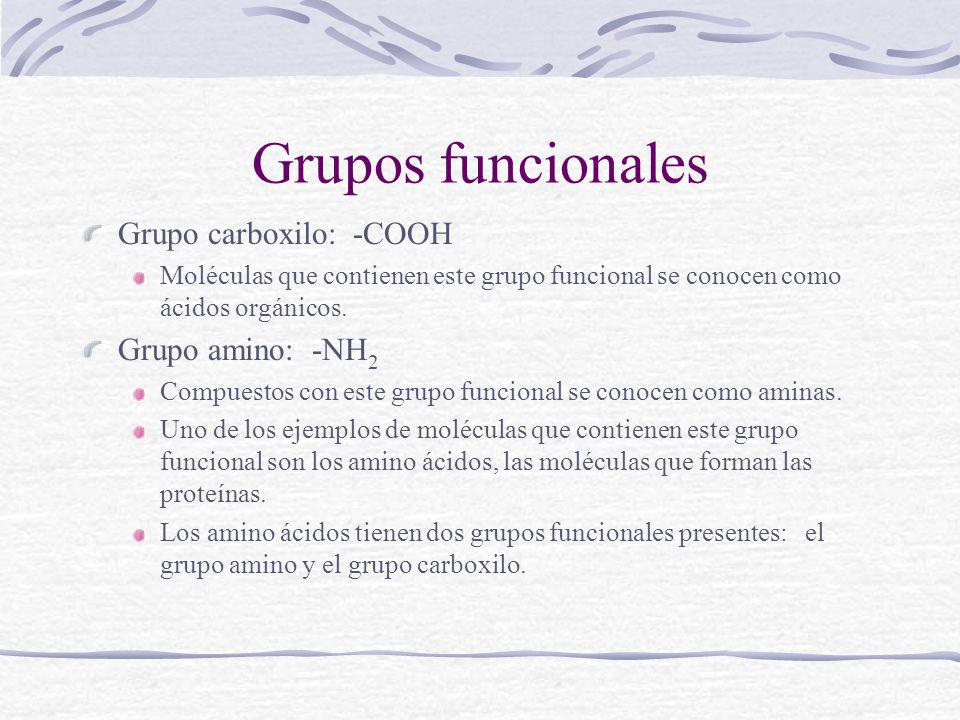 Grupos funcionales Grupo carboxilo: -COOH Grupo amino: -NH2