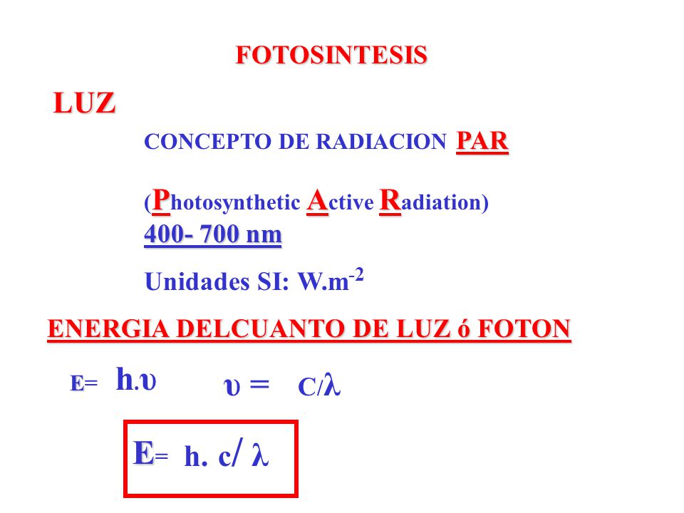 h.υ υ = E= LUZ c/ λ h. FOTOSINTESIS Unidades SI: W.m-2