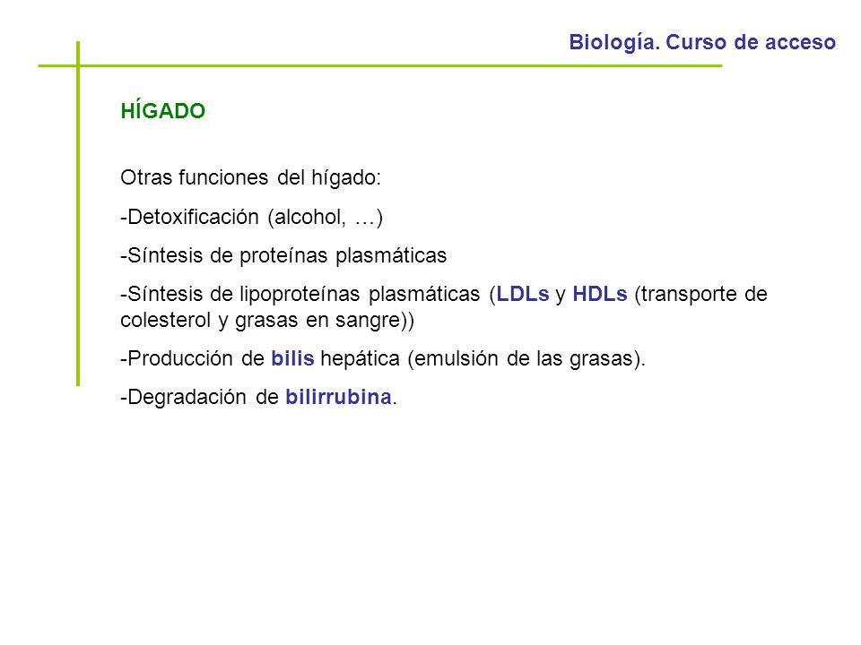 HÍGADO Otras funciones del hígado: Detoxificación (alcohol, …) Síntesis de proteínas plasmáticas.