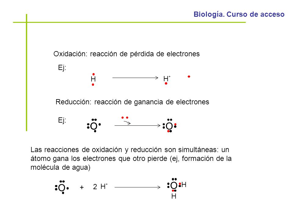 O O O O O Oxidación: reacción de pérdida de electrones Ej: H H+