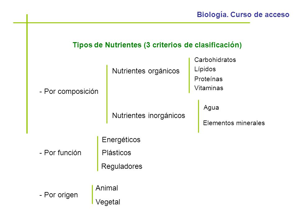 Tipos de Nutrientes (3 criterios de clasificación)