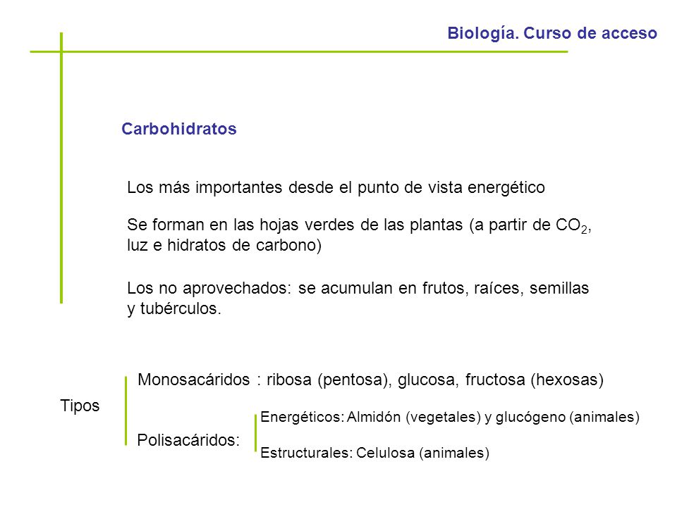 Los más importantes desde el punto de vista energético