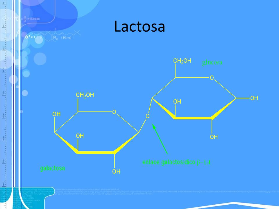 Lactosa