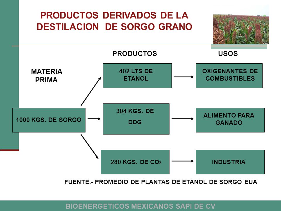 PRODUCTOS DERIVADOS DE LA DESTILACION DE SORGO GRANO