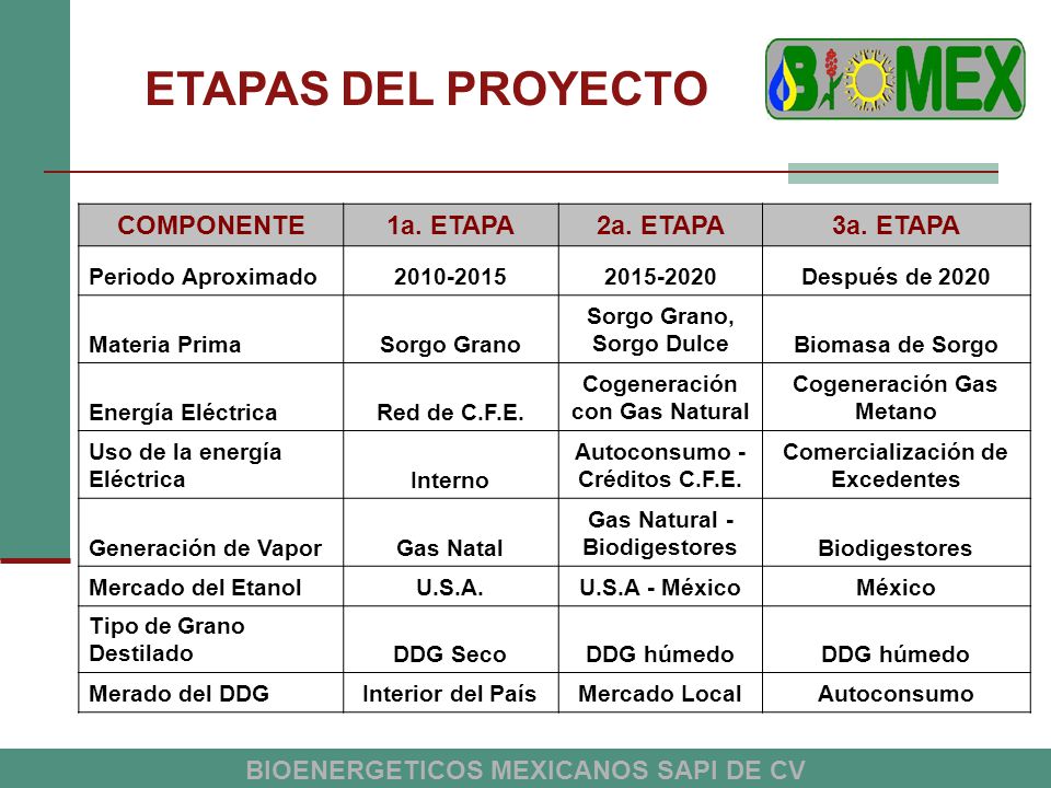 ETAPAS DEL PROYECTO COMPONENTE 1a. ETAPA 2a. ETAPA 3a. ETAPA