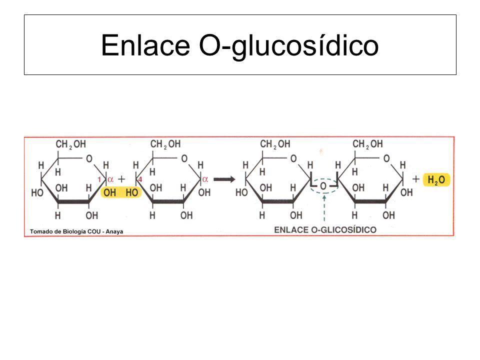 Enlace O-glucosídico