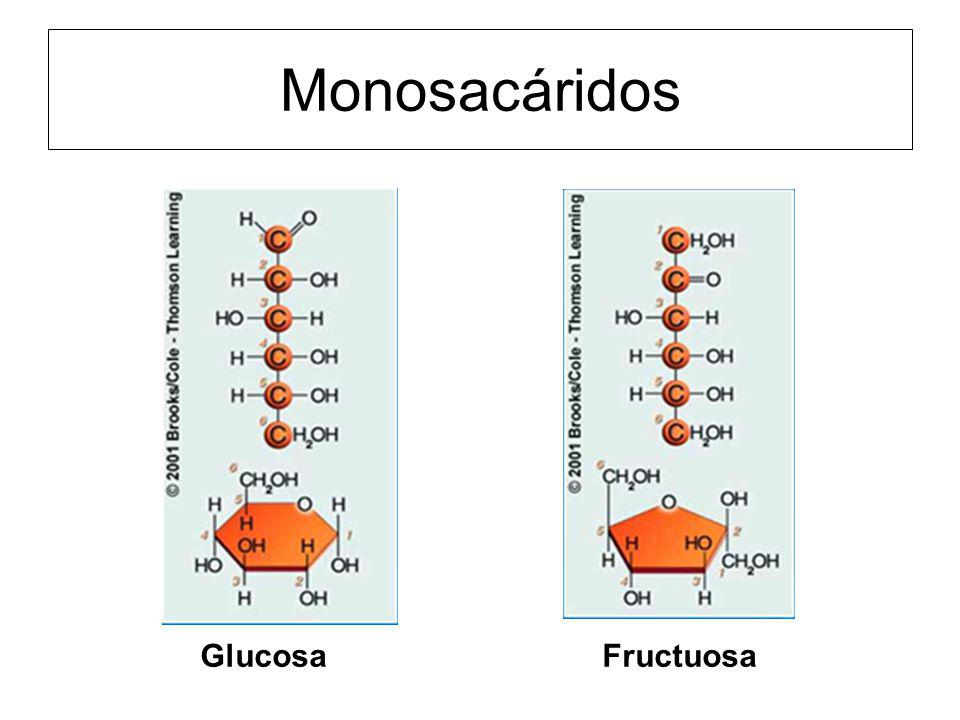 Monosacáridos Glucosa Fructuosa