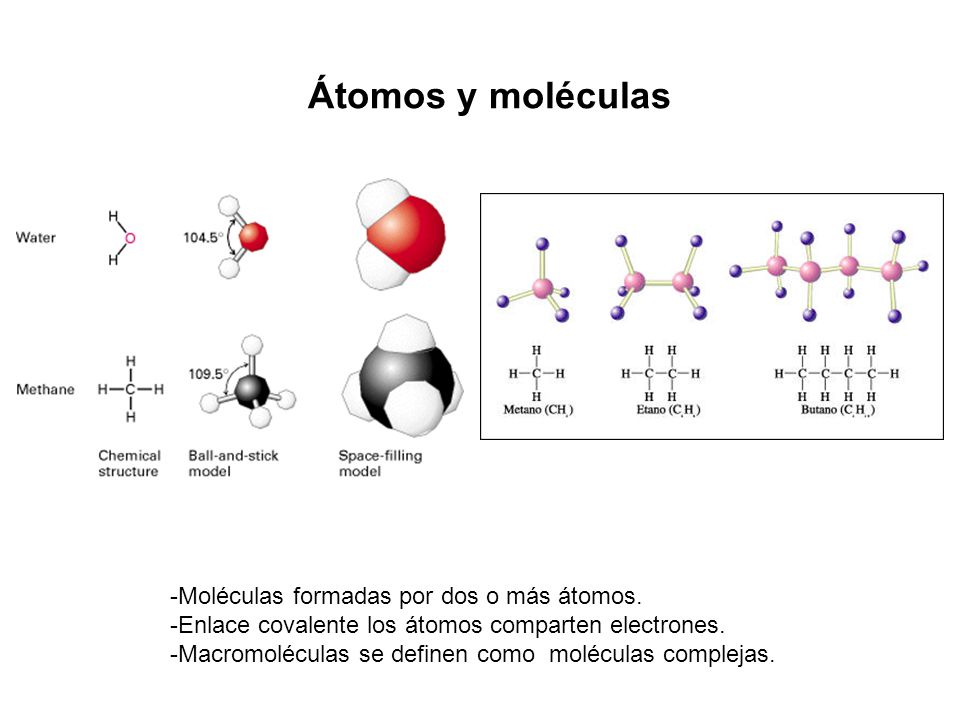 Átomos y moléculas -Moléculas formadas por dos o más átomos.